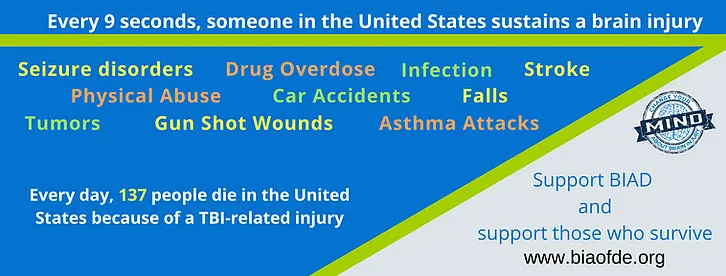 Brain Injury Statistics-4.png
